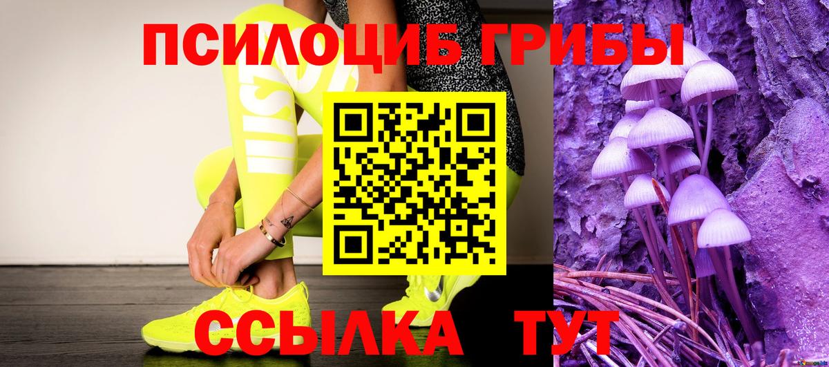 Псилоцибиновые грибы Psilocybe Губкинский