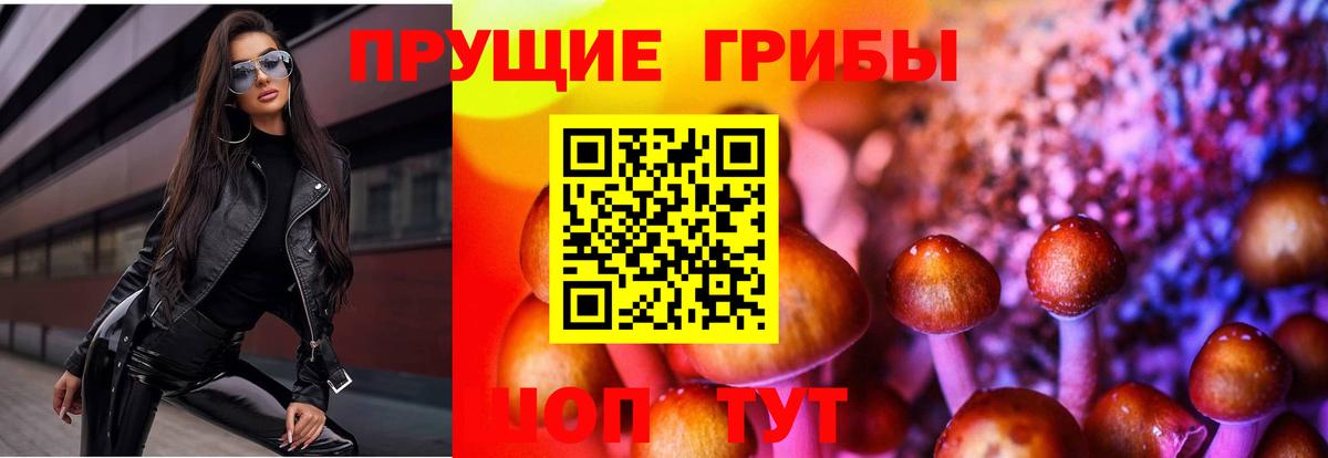 Псилоцибиновые грибы мицелий  Псилоцибиновые грибы мицелий  Губкинский  Вход с VPN 